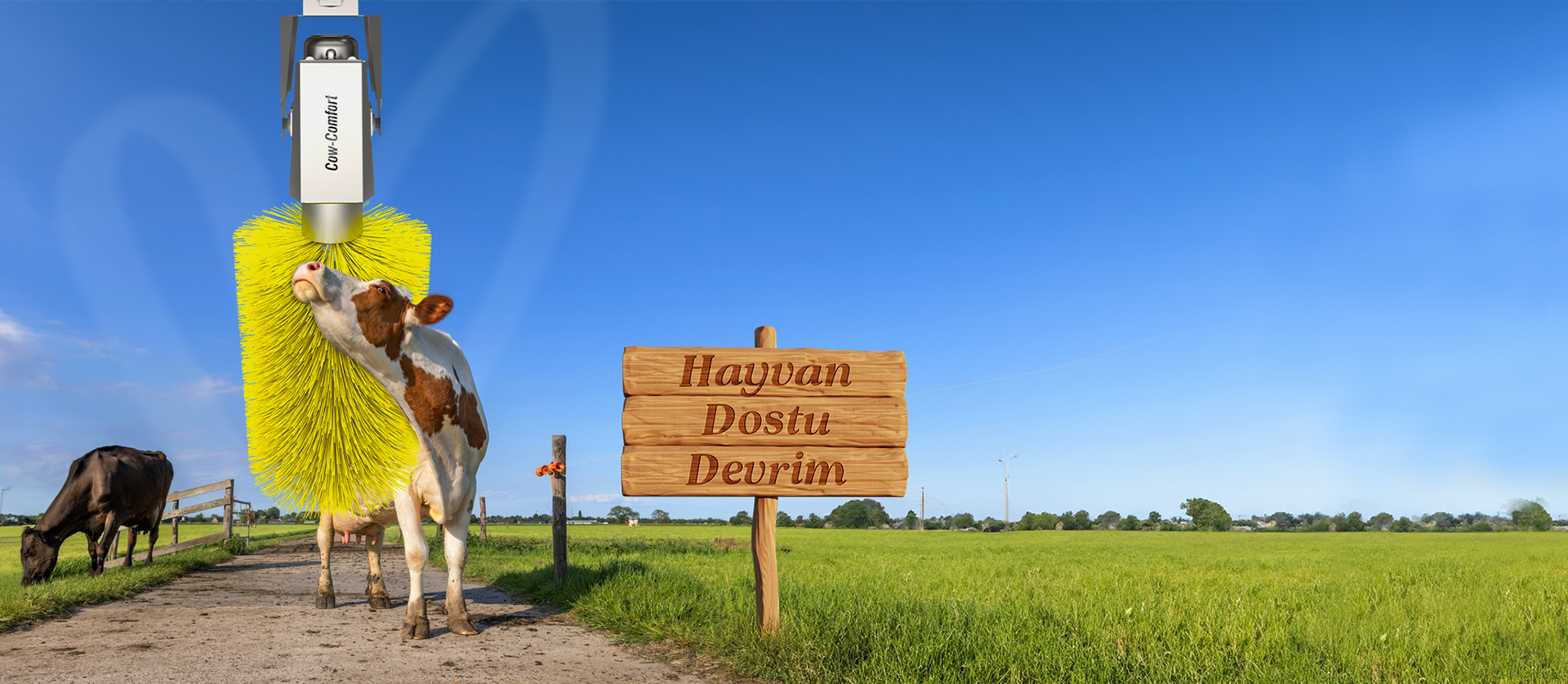 HAYVAN DOSTU DEVRİM